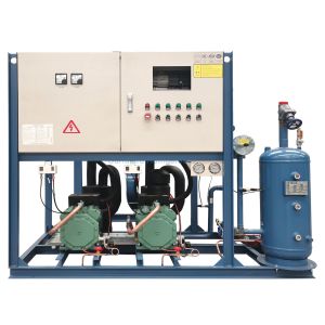 Tailor Made Programs Compressor Unit Enhanced Performance Energy Efficient For