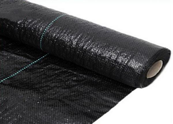 Agricultural Plastic Black Membrane For Gardens Protect Plants In The Ground