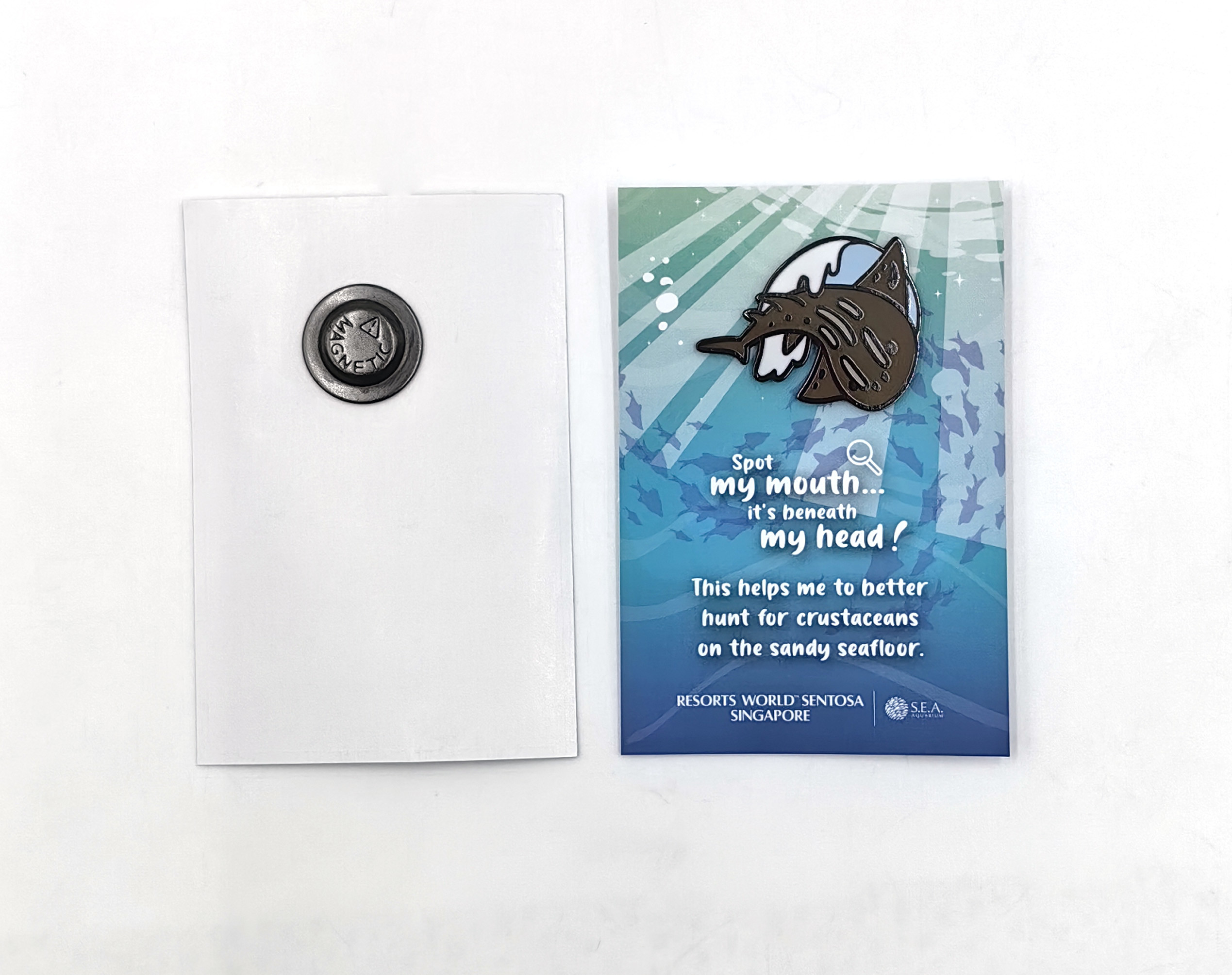 Sea Aquarium Badge – Celebrate Marine Exploration and Conservation