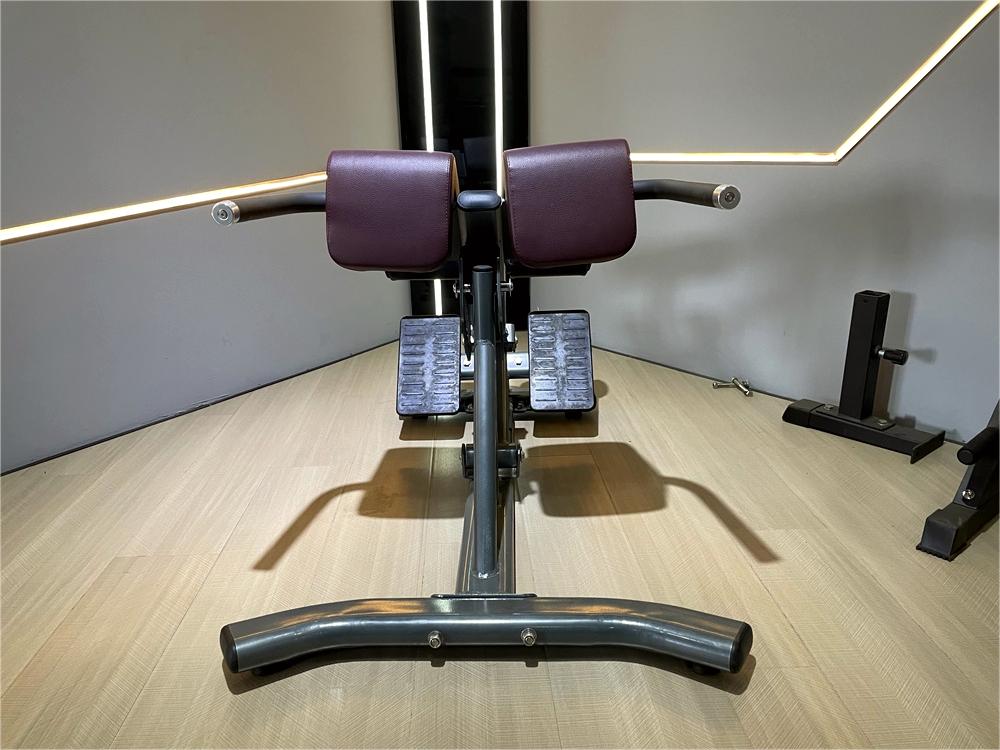 Adjustable Back Extension Roman Chair Home Gym Strength Training Machine for Abdominals and Back Exercise Pin Load Selection