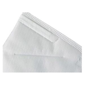 EarLoop Style KN95 Foldable Mask