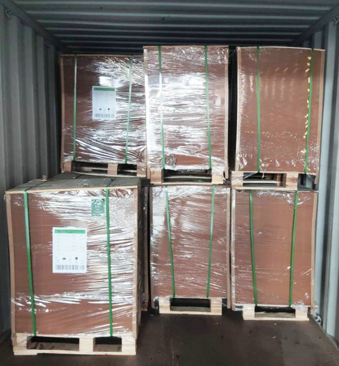 FDA Certified Brown Kraft Paper Board 250gsm 300gsm Food container Paper Roll