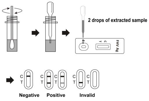 High Accuracy Cat Test Kits Feline Herpes Virus Antigen FHV Ag Test