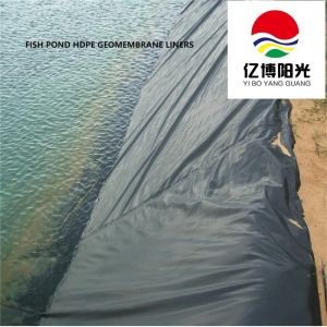Made Blowing Machine Producing Waterproof HDPE Geomembrane with 100% Virgin