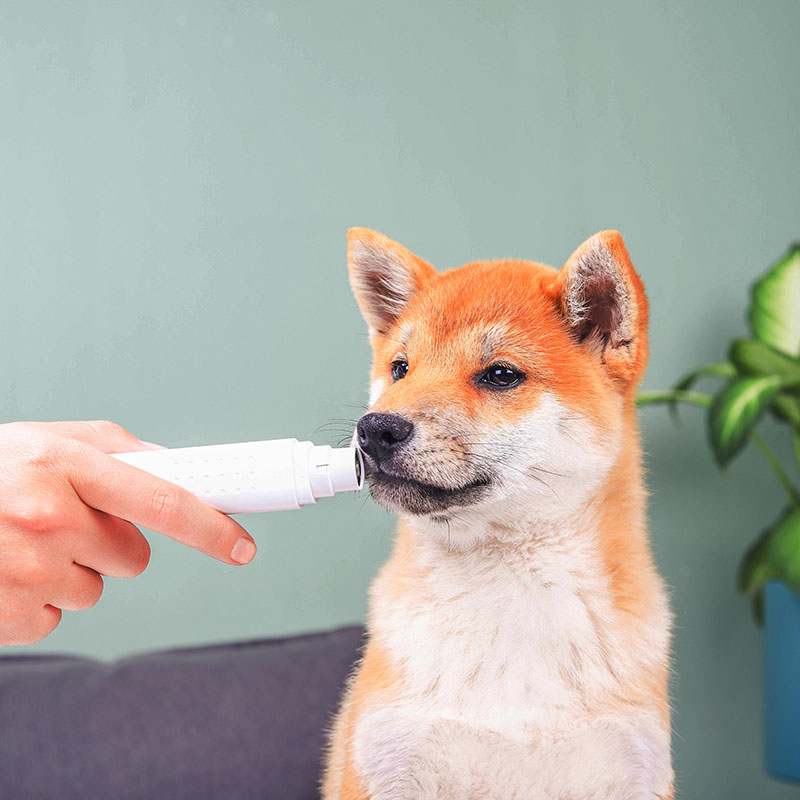 Rechargeable Automatic Cat Nail Trimmer White Small Dog Nail Clippers
