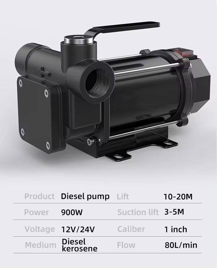 High Flow Compact Size 220 Volt 60L/min Electric Oil Portable Diesel Fuel Transfer Pump