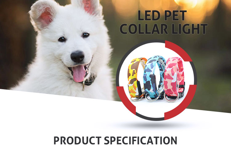 Light Up LED Dog Collar , Luminous Flashing Dog Collars For Small Dogs