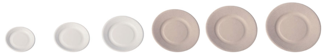 Disposable 10 Inch Compostable Biodegradable Sugarcane Bagasse Plates