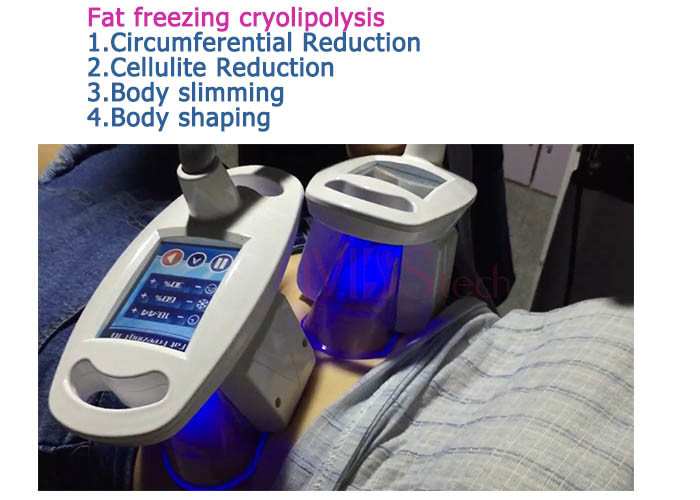 4 Handle Fat burning Cryolipolysis Machine For Home Use