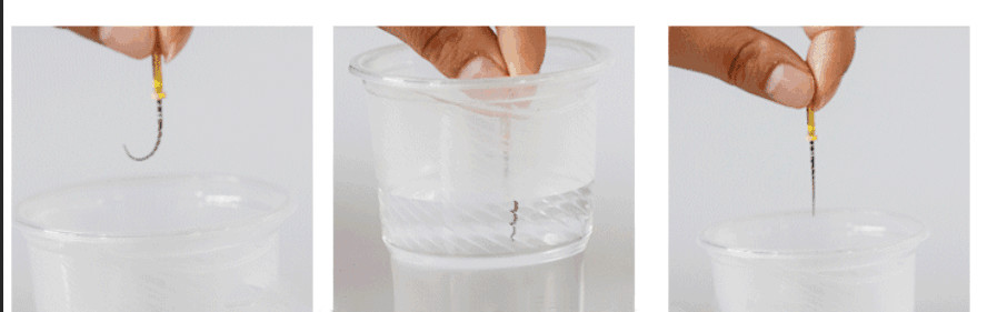 Heat Activation Dental Golden Pro-Taper Files High Flexibility For Curved Canals