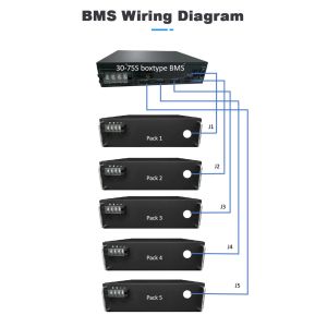 192V 60S Integrated BMS with Real-time Monitoring and Passive Resistance