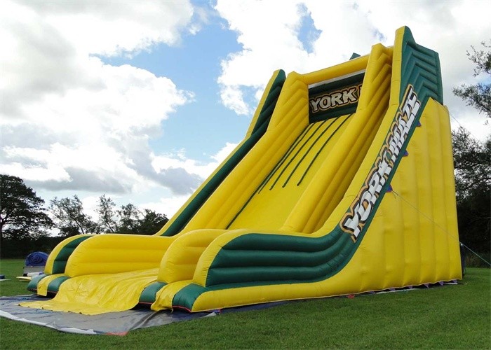 Kids Double Slide Blue Print Commercial Inflatable Slide PVC Waterproof