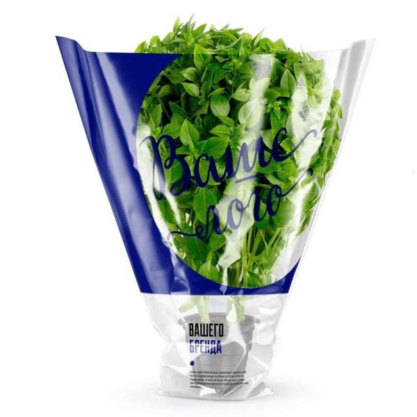 Retail display of packaged lettuce in trapezoid bags