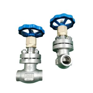  DN25 PN40 Cryogenic Globe Valve With Socket Weld Ends Manufactures
