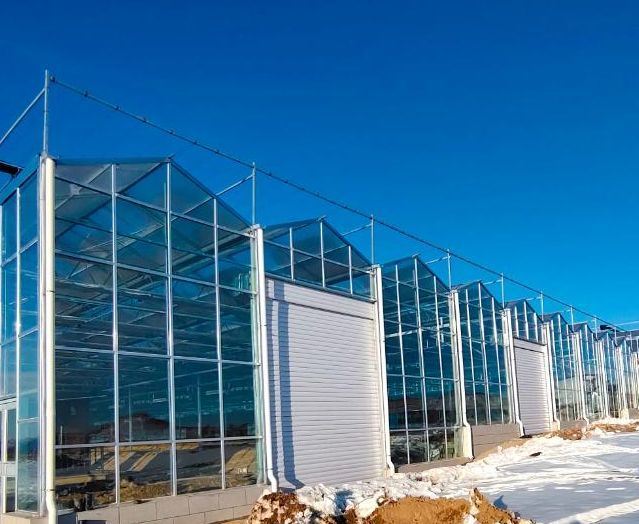 Venlo Hollow Double Layer Tempered Glass Greenhouse with Hydroponics Growing System