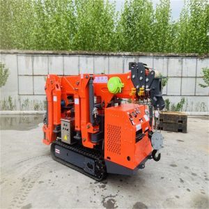  CE Telescopic Boom Spider Crane 2 Ton Mini Crawler Crane Manufactures
