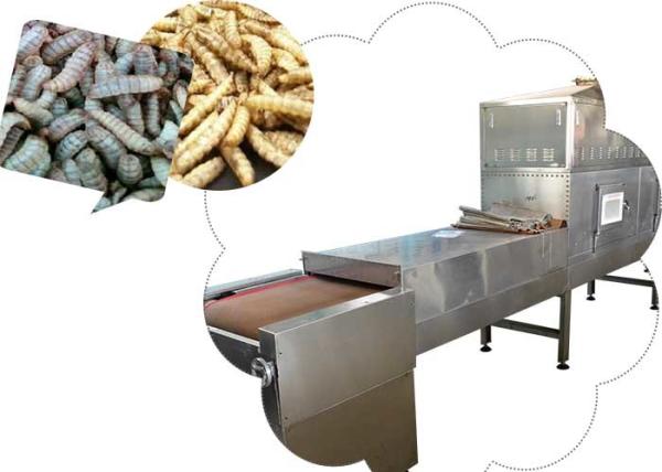 Frequency Stainless Steel Black Soldier Fly Larvae Microwave Sterilization
