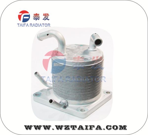Auto Transmission Oil Cooler , NISSAN Oil Cooler Assy 21606-1XF0A 12 Month
