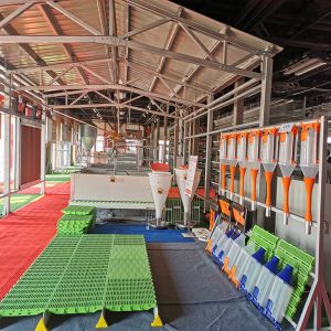 Modular Steel Structure Poultry House with Automated Ventilation