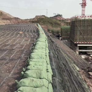 Taian Provides 100% PP Uniaxial Geogrid for Easy Construction at Best