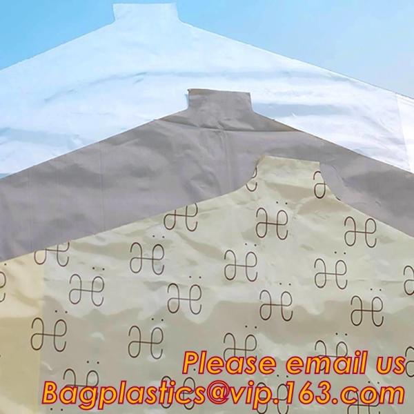Transparent Cheap Clear Clothes cover LDPE Garment plastic Travel Bags dry