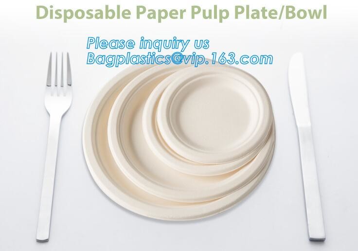 Meal Prep Containers Free Sample Bento Lunch Box Biodegradable Food Container Plastic Wheat Straw Lunch Box bagplastics