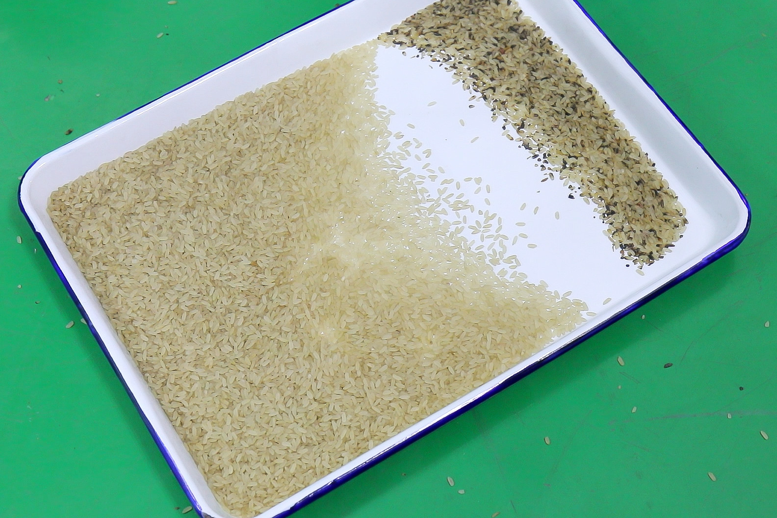 Grain Corn Nuts Rice Color Sorting Machine Customized