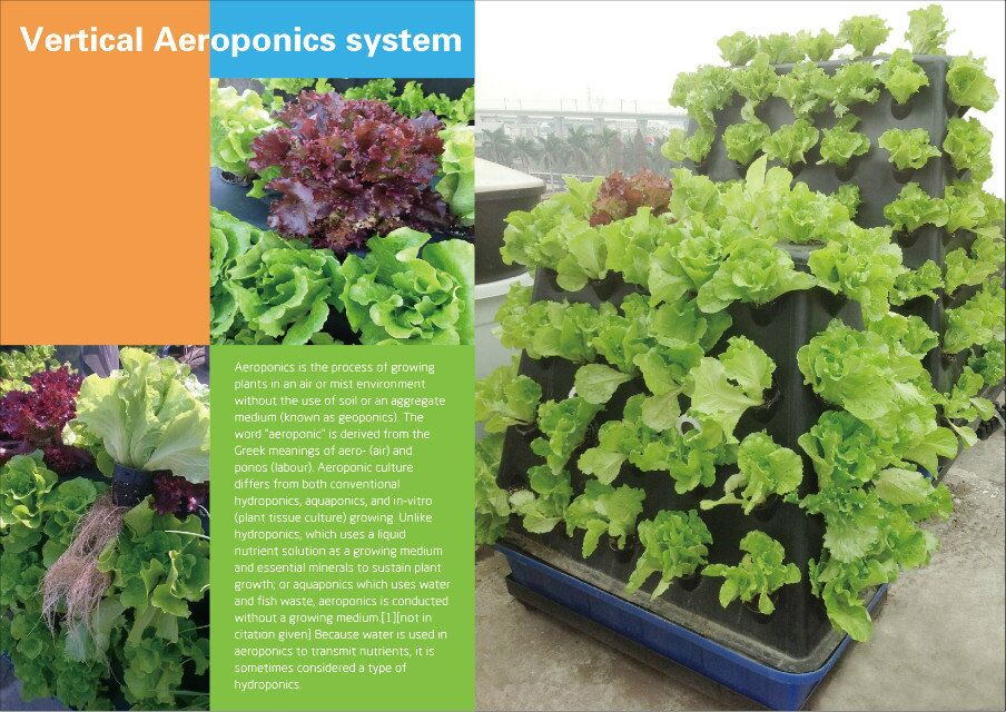Commercial Aeroponics Hydroponic System For Greenhouse Vegetables Growing
