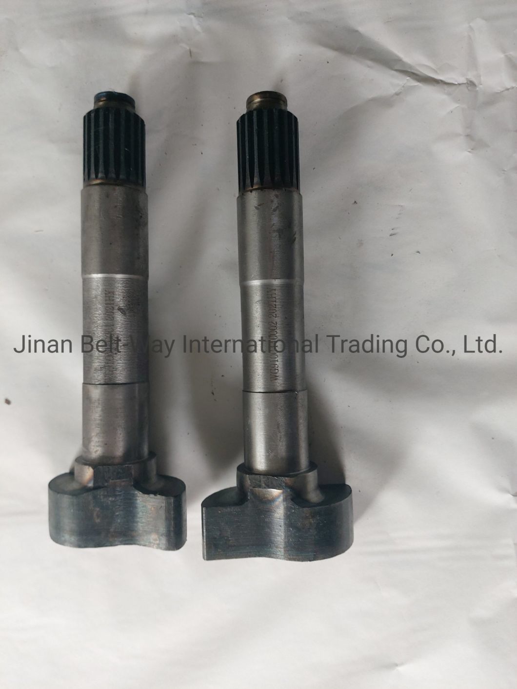 Sinotruk HOWO Truck Spare Parts Brake Camshaft Wg9100440002 Wg9100440001
