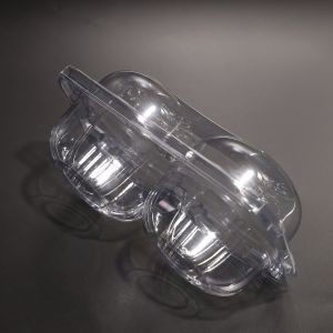 Eco Friendly Biodegradable PET Rectangular Food Container with 2 Compartments