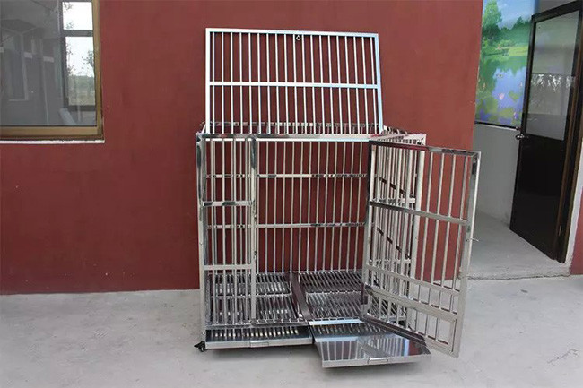 Firm Durable Medical Veterinary Equipment Square Tube Stainless Steel Dog Cages