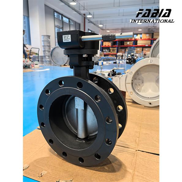 DN200 Worm Gear Manual Stainless Steel High Perforamnce Double Eccentric