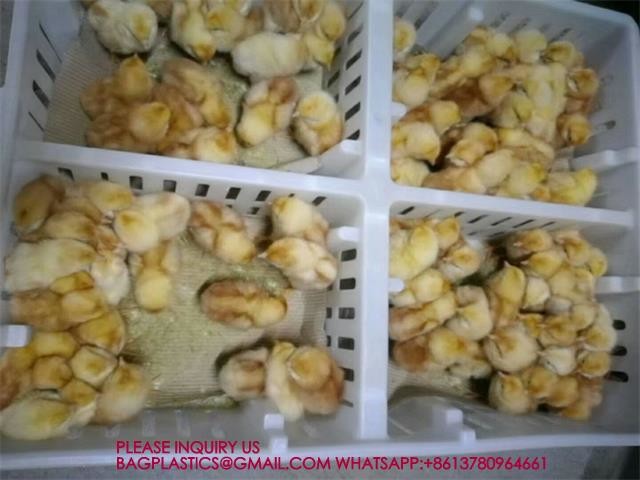 Chicken Cage Turnover Box With Partition Board Chicken Transportation Cage Egg Cage
