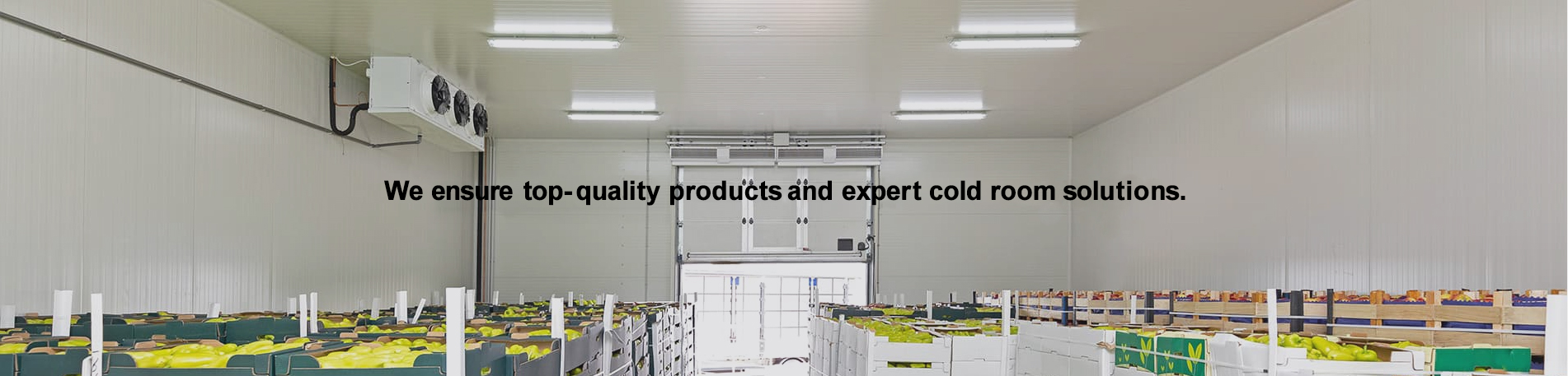 Light Steel Q355 Q235 Walk-in Cold Storage Room 20ft 40ft Container Bending Service