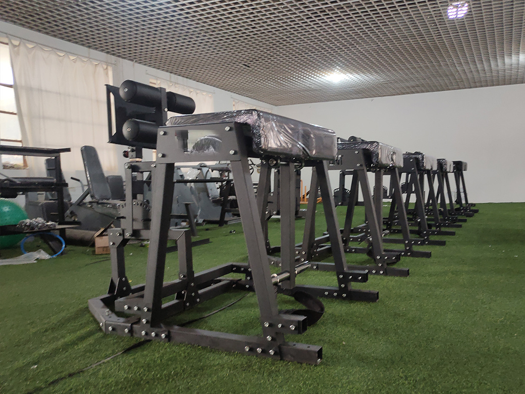 High Quality Gym Back Hyperextension GHD Glute Ham Developer Roman Chair