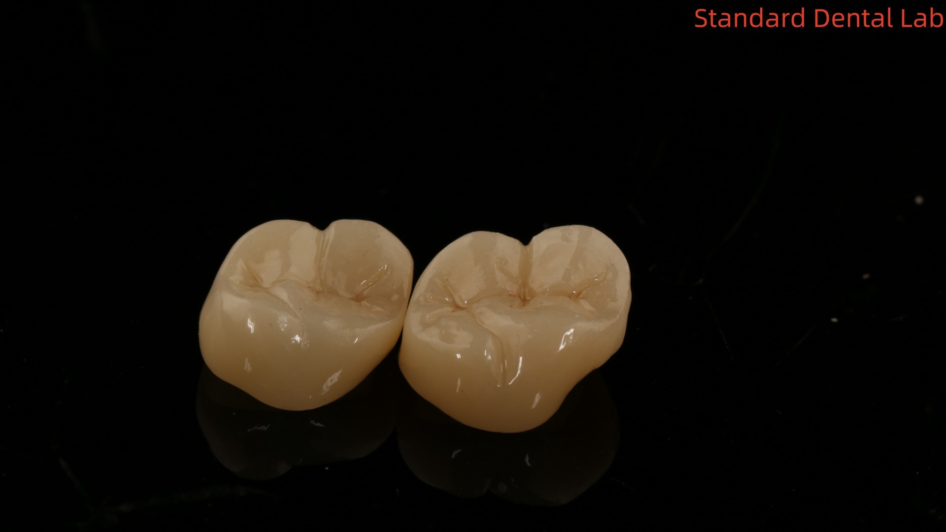 Solid Dental Lab Crowns 3D Pro High Translucency Full Zirconia Crowns with 5-Year Guarantee