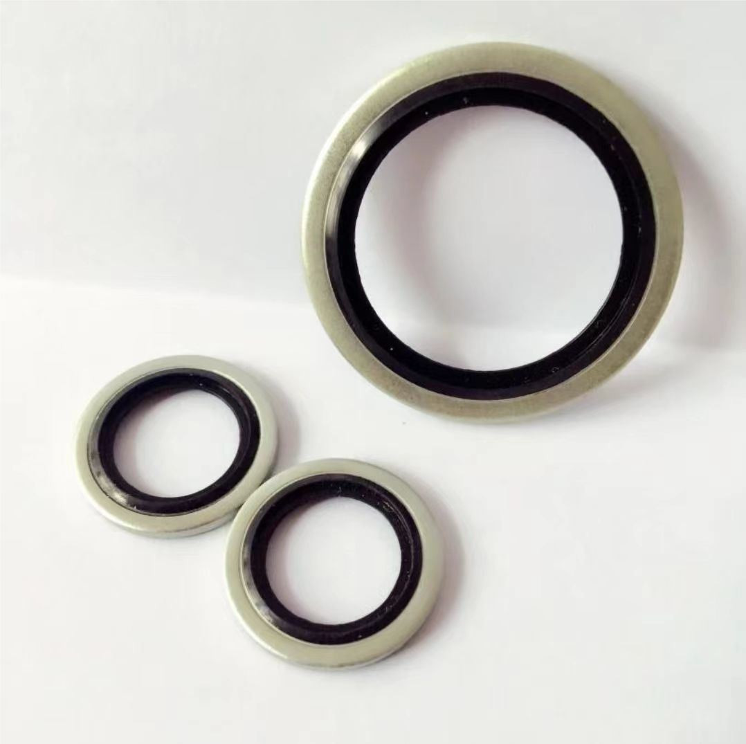 Rubber EPDM NBR Customized Stainless Steel Metal Screw Dowty Sealing Washer