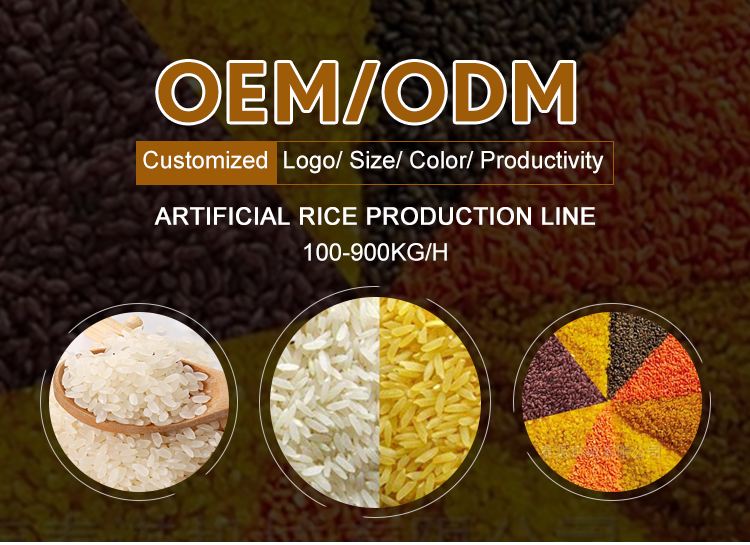 High Automation Twin Screw Fortified Rice Processing Machine 100kg/h-900kg/h Condition