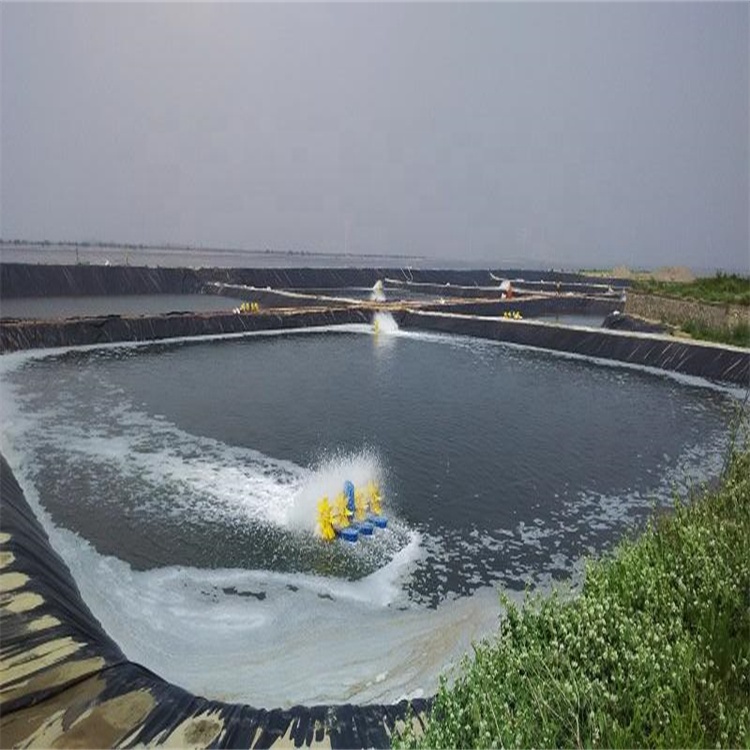 1mm Geomembrane Fish Shrimp Pond Liner HDPE Liner for Landfill Liner and Swimming Pool