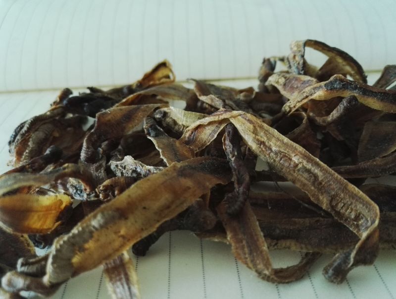 Earthworm Extract With Lumbrokinase