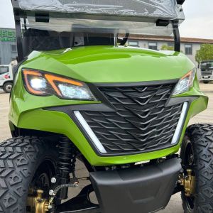 Customizable Golf Cart With Multiple Seating Options 4 Seater Advanced Lithium