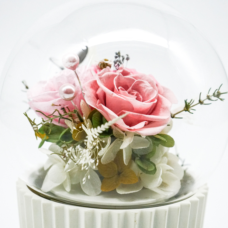 3-5 Years Lasting Preserved Rose Glass Dome Beautiful Home Decor Day Gift