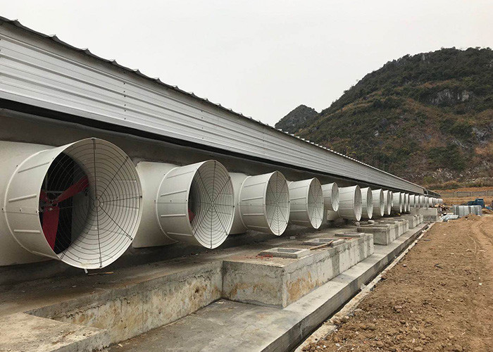 50inch Circulation Ventilation Exhaust Fan For Poultry Houses HI HOPE