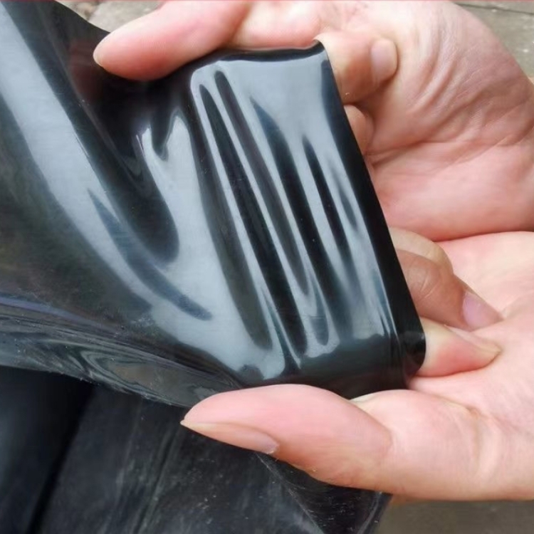 Outdoor Double Smooth Geomembrane for Fish Pond Liner and Landfill Sites Directly Sold