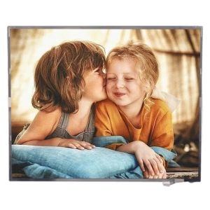  LP150X08-TLA2 15&quot; TFT LCD Panel 1024*768 CCFL 30 pins Manufactures