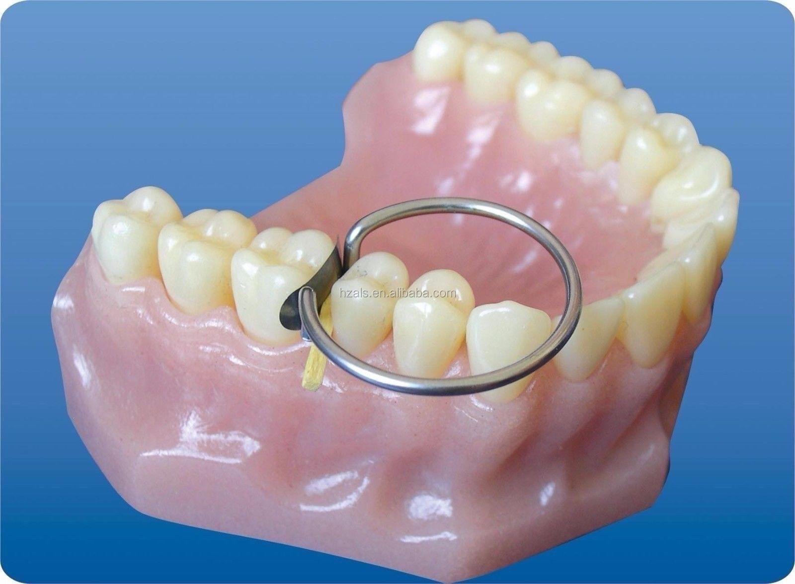 1.298 TOR VM PROFESSIONAL DENTAL Filling Materials Advanced Kit of Sectional Contoured Matrices for MFDS Safety Standard