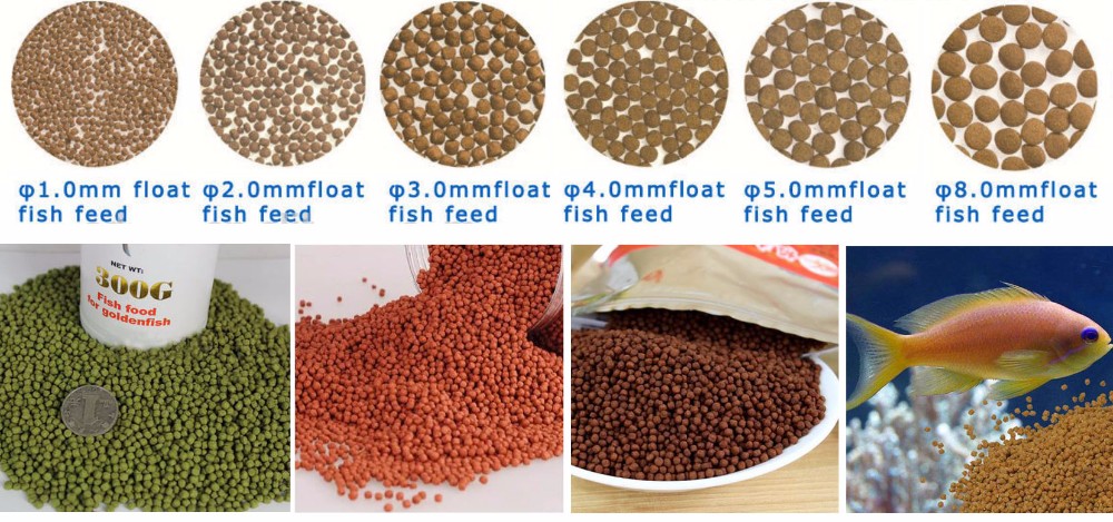 60kg/H - 100kg/H Dry Type Fish Feed Machine Shrimp Feed Pellet Extruder