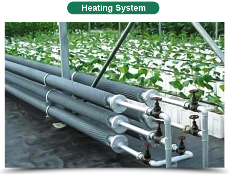 Insulation Agricultural Plastic Film Greenhouse for Single-Span at in 6m 8m 10m Width