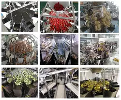 Multi Function Tomato Fruits Weighing And Packing Machine With Multihead