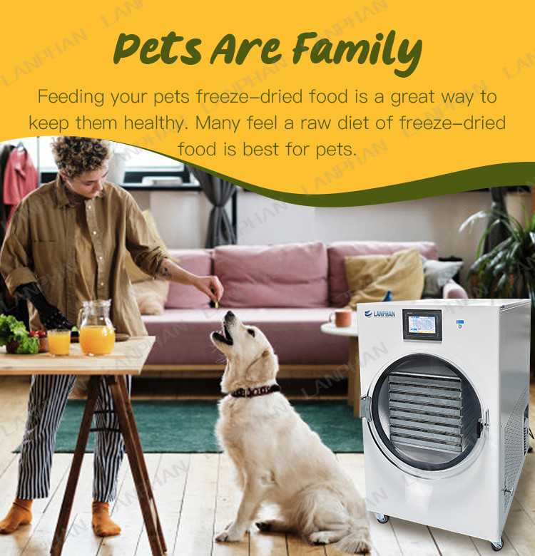 Freeze Dryer Equipment Fruit candy Meat Freeze Dryer 220V Freeze Dry Machine